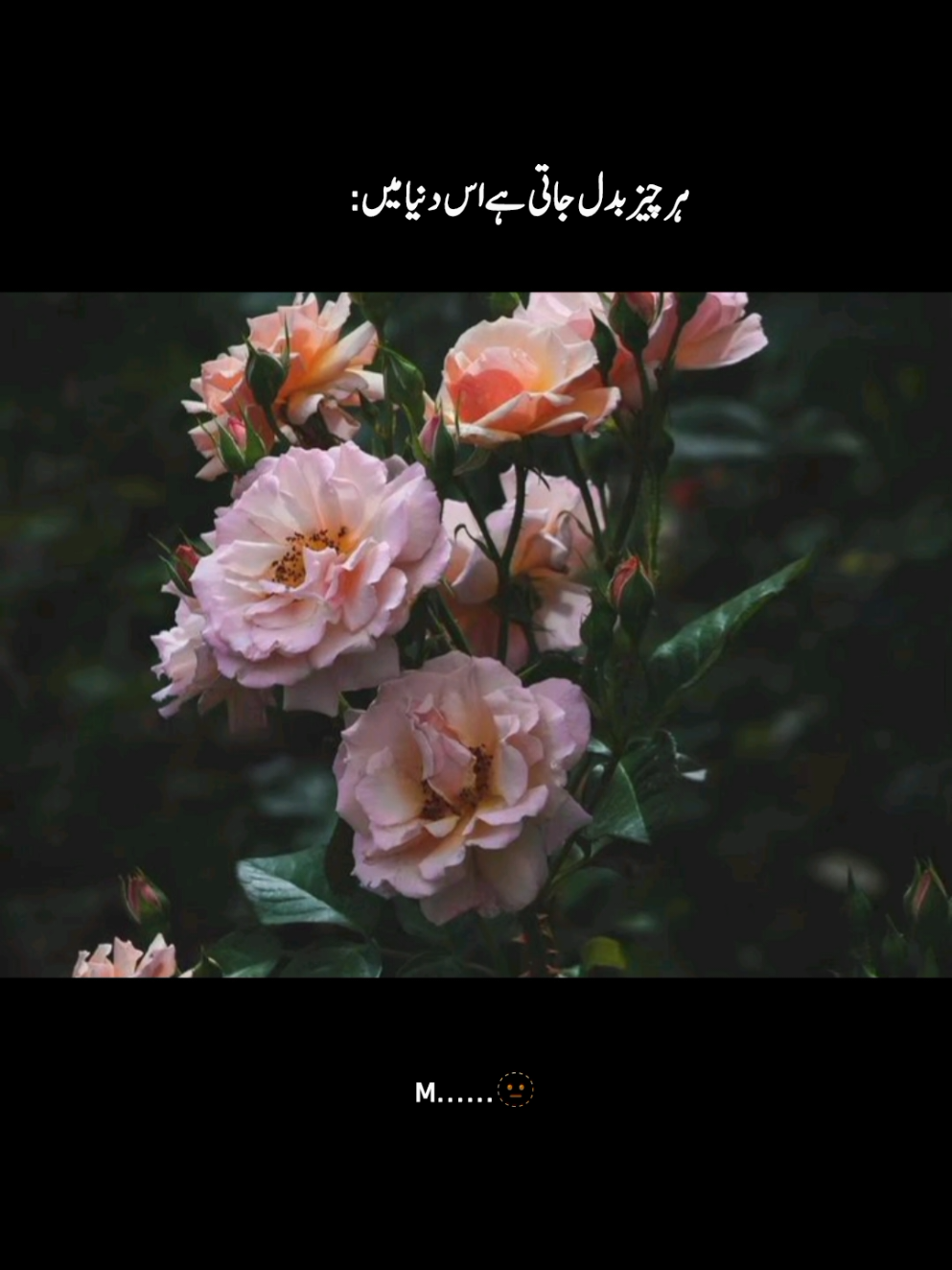 بیٹھ کر کسی روز سمجھاؤں گا خود کو۔۔۔۔ اگر یوں ہی چلتا رہا تو رائیگاں جاؤں گا میں۔۔ 💔 ۔ ۔ ۔ ۔ ۔ ۔ ۔ ۔ ۔ ۔ ۔ ۔ ۔ ۔ ۔ #foryou #aesthetic #aesthetics #fyp #fyppppppppppppppppppppppp 