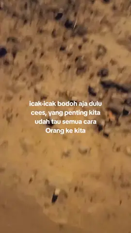 #𝕩𝕪𝕓𝕔𝕒#fypage#lewatberandamu#lampungtiktok#bujangorgenlampung#