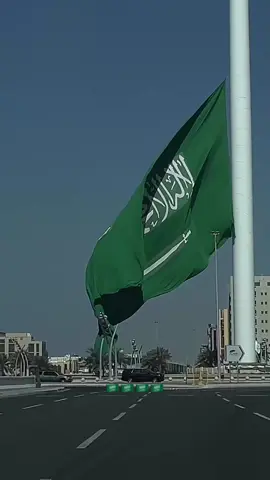 Saudi Arabia #اليوم الوطني#عز وفخر #الساريه 
