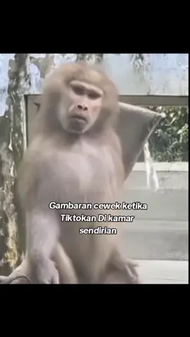 begitulah kira² #storytime #capcut #Hiburan #statuswa #fyppppppppppppppppppppppp 