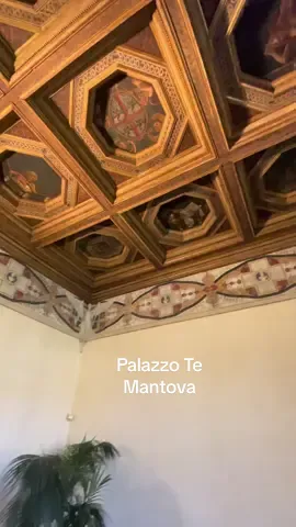 Palazzo Te Mantova 