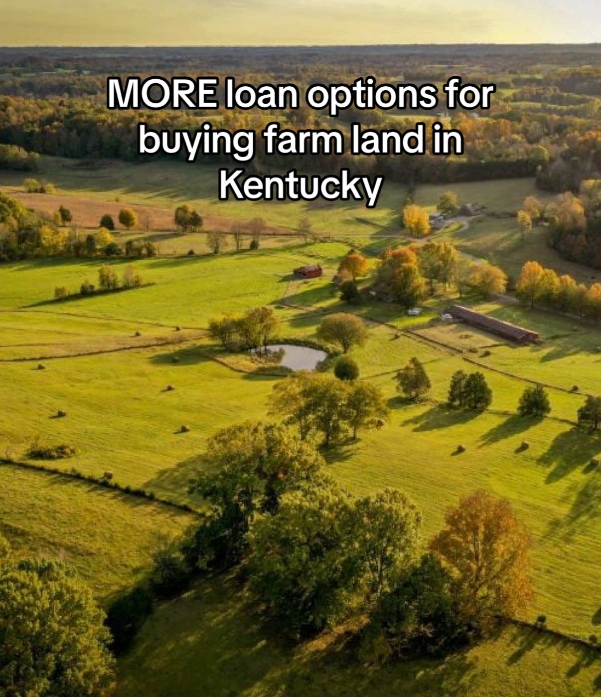Replying to @Reeves Cattle Co. More loan options for buying farmland if you live in Kentucky ❤️  #farmtok #farmlife #homesteading #homestead #countrylife 