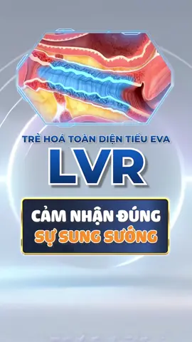 Điều chị em mong muốn nay đã có mặt tại Siam #bvtmsiamthailand #kinhnghiemthammy #lamdep #xuhuongtiktok @Bác Huân Hóm Hỉnh @CEO Thái Hoàng Sơn 