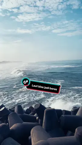 Jadi beras kalo tau dan bisa cara ngolah nya 🥱 #ngontenlaut