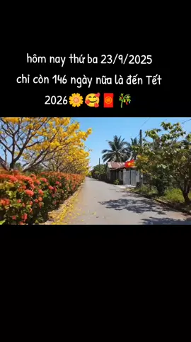chỉ còn 146 ngày nữa là đến Tết 2026🎋🧧🥰🌼#xunghuongtiktok #tet2026 