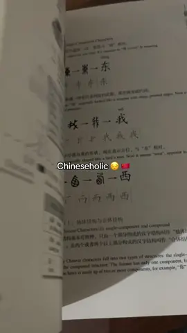 #mandarin #learnchinese #hsk #pingoai 