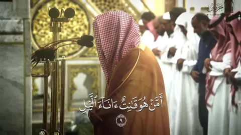 خالد المهنا #الحرم_المدني #muslim #خالد_المهنا #القران_الكريم_راحه_نفسية😍🕋 #رمضان_1446 