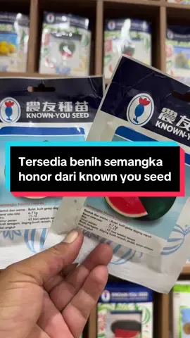 Benih semangka honor #petaniindonesia🇮🇩🇮🇩🇮🇩🌿🌿 #petanisemangka🍉🍉 #benihsemangka #semangka #PencaparBenihSemangka 