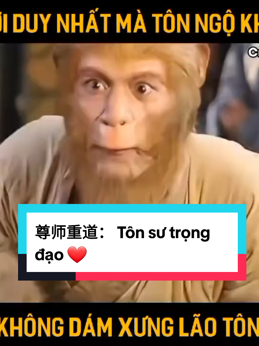Video ý nghĩa về tình thầy trò trích từ bộ phim nổi tiếng Tây Du Ký. +尊师重道： (Zūn shī zhòng dào) Tôn sư trọng đạo  + 一字为师，半字为师 (Yī zì wéi shī, bàn zì wéi shī): Một chữ là thầy, nửa chữ cũng là thầy. #tiengtrung#tichcuc#学习#xhtiktok#感恩  Nguồn sưu tầm Internet -Trang Lade