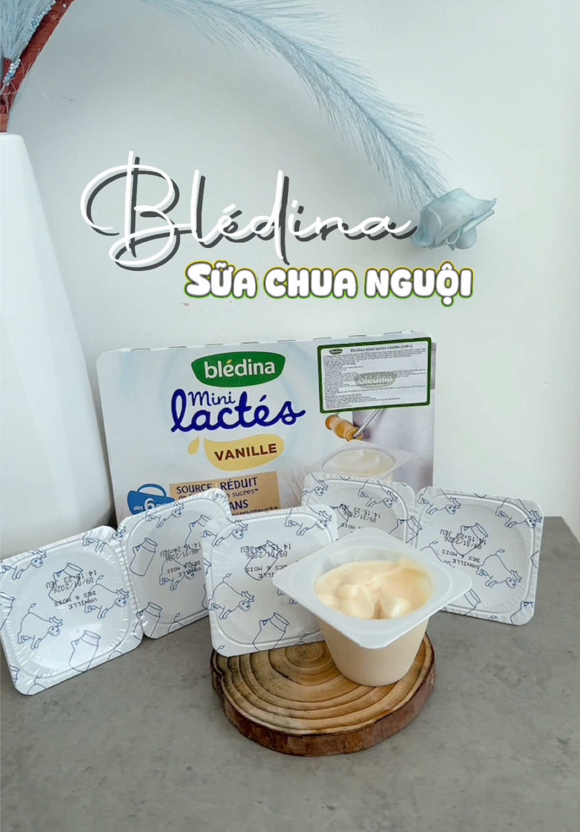 Giờ thì tui mới hiểu sao sữa chua nguội Blédina lại được lòng mấy mẹ bỉm dữ vậy luôn đó mấy bà 🤤 @Dược phẩm Anh Minh #khanhinguyen #bledina #suachuabledina #duocphamanhminh #suachuanguoi 
