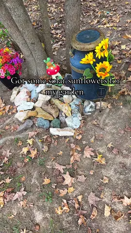 The cutest solar sunflowers!! #solar #solarpower #solaryardlights #Outdoors #garden 