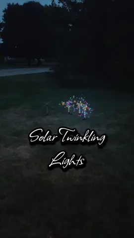 These are so fun. They also have a stationary light option! Stakes into the ground. Fully solar!