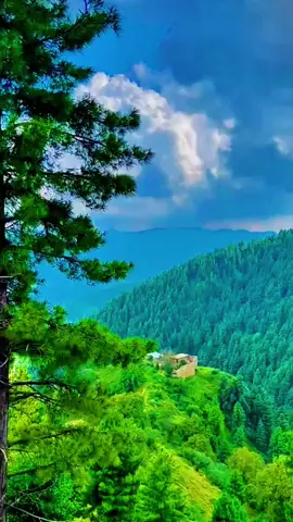 🌸❤️ #kurram_agency #500k #pashtosong #foryou 