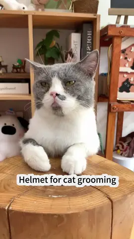 **🐱✨ The Comfortable & Breathable Cat Cone Your Pet Won’t Hate!**  Say goodbye to stressful vet visits and messy grooming sessions with the **Ultra-Light Cat Recovery Collar** – designed for maximum comfort *and* visibility!  ✨ **Why It’s a Game-Changer:**  ✔️ **Full Visibility** – Transparent design lets them see clearly  ✔️ **Ventilated & Lightweight** – No more struggling or discomfort  ✔️ **Multi-Use** – Perfect for post-surgery, nail trims, or bath time  #PetCare #CatEssentials #HappyKitty  💬 **Tag a cat parent who needs this!**  👇 **Swipe to see how comfy it is!**  **P.S.** That *”Wait... I can actually move in this?!”* face? **Priceless.** 😲💕  —  **🛒 LINK IN BIO – Keep recovery stress-free!**  *(Perfect for: Spays/neuters | Wound care | Dramatic groomers)* 🏥🐾