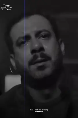 عمرو حسن 