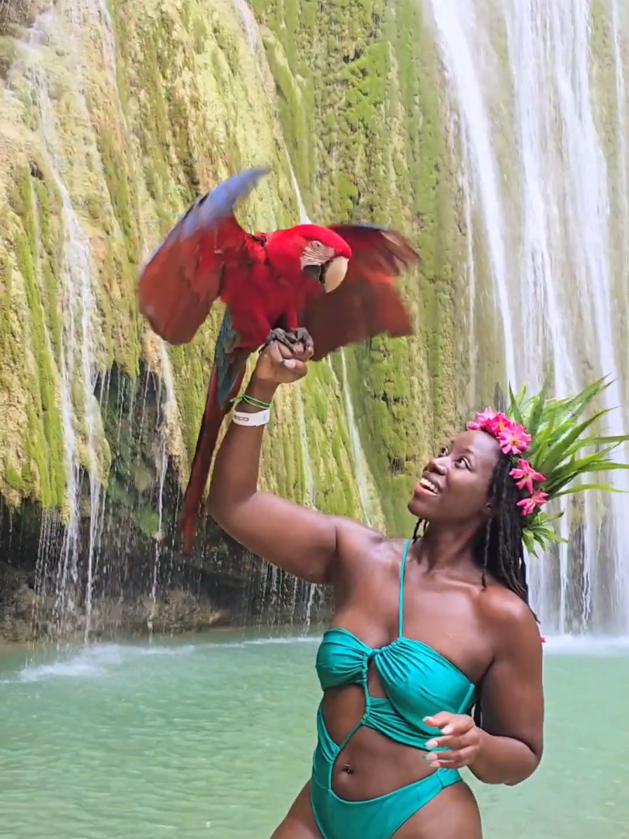 Not i dropped this man's bird #dominicanrepublic #tiktokpartner #traveltiktok 