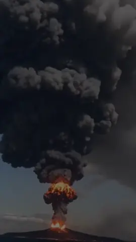 #fypp#$#$<>