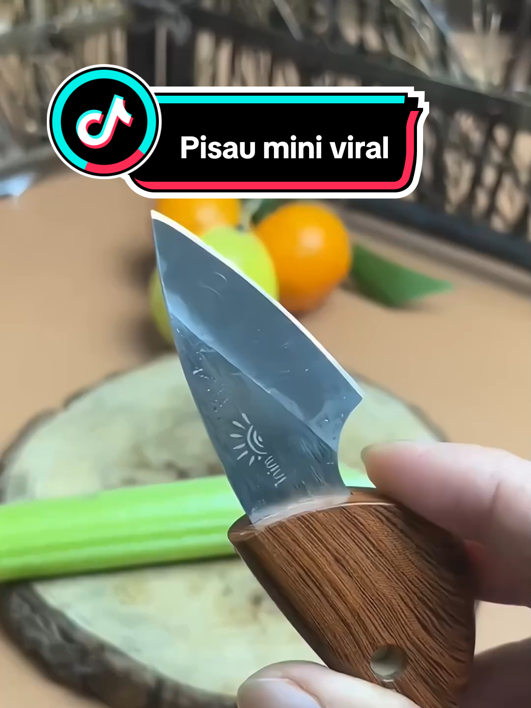 Pisau mini portabel #pisautajam🔪 #pisauviral #alatcamping #pisaumini #pisau 