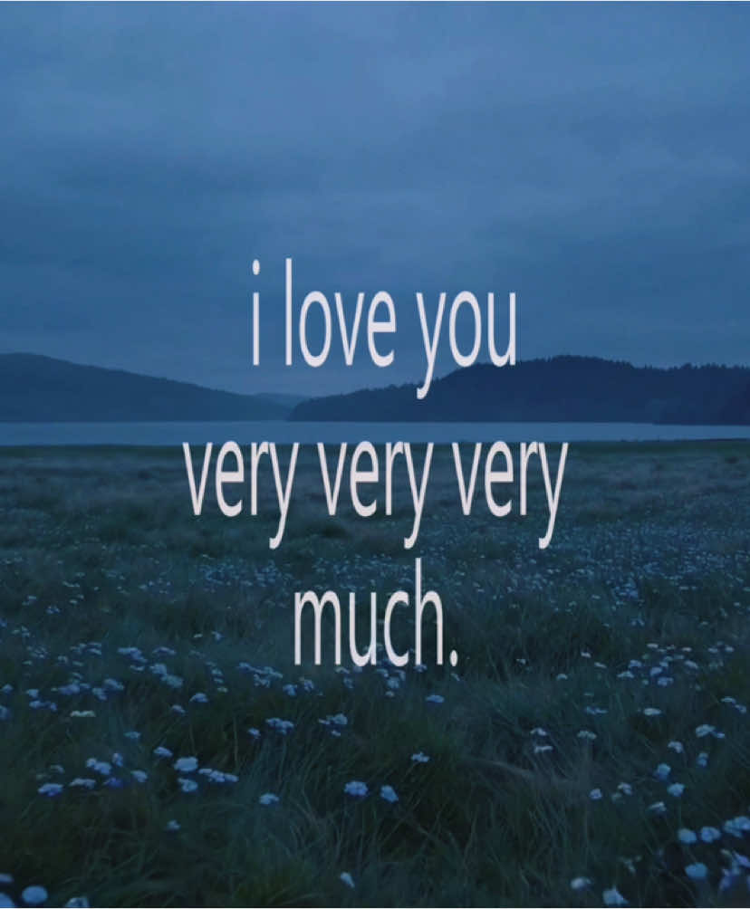 ilysm