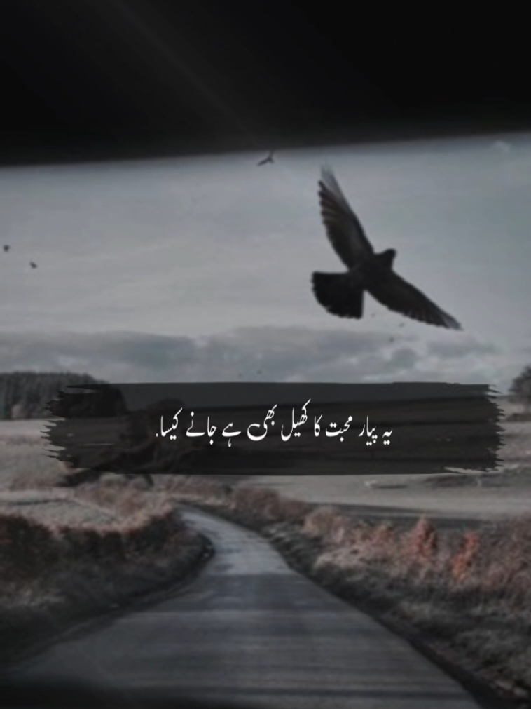 #CapCut #viral #fyp ❤️‍🩹🥀🥹#foryoupage #foryoupage❤️❤️ 