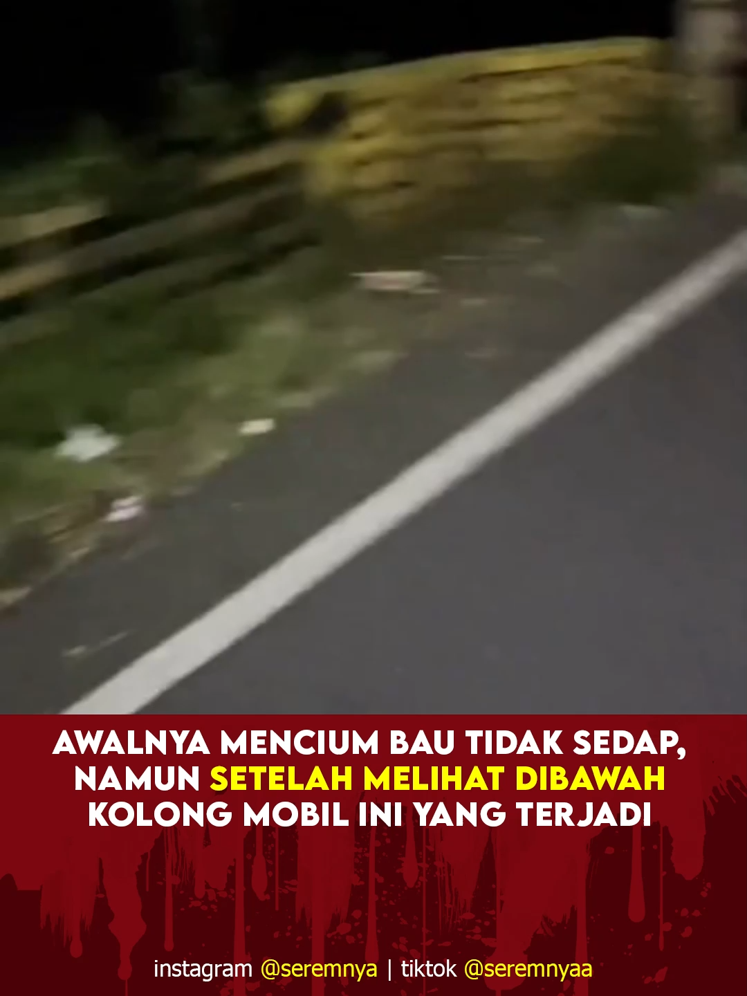 apaan tuh guys ?