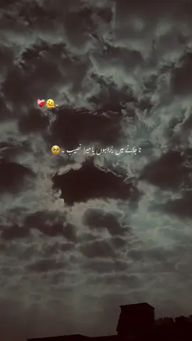 جس پر ناز کرتا ہوں وہی دل دکھاتا ہے ۔🥹🥀 #hehe-afridy#viral_video #growmyaccount #poetrystatus #unfrezzmyaccount 