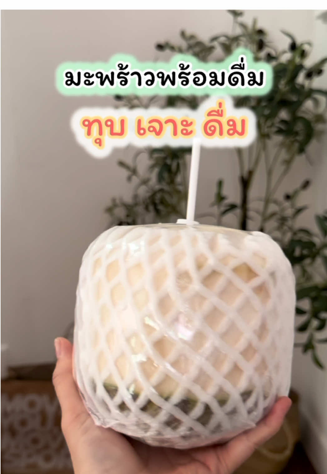 #มะพร้าวน้ําหอมบ้านเนินสะดวก #หมิวหมิวสวนผลไม้เหนือ #มะพร้าวพร้อมดื่่ม #ที่เจาะมะพร้าวพร้อมค้อนทุบ #มะพร้าวอร่อย 