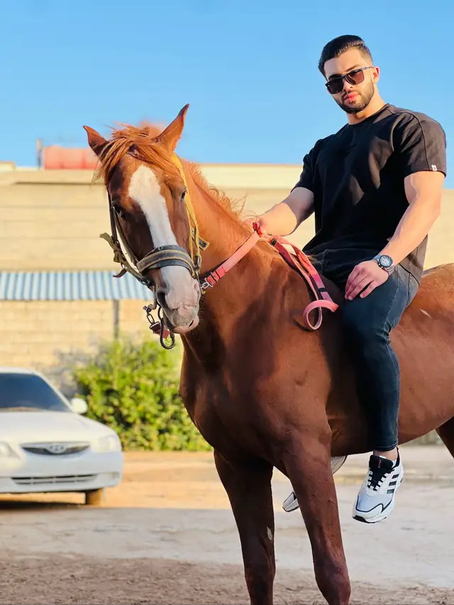 #مصراته_الصمود🇱🇾🇱🇾🔥😌 #خيل_وخياله🐎 