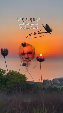 #CapCutانشودة السيد الجديدة#سماحة_العشق  