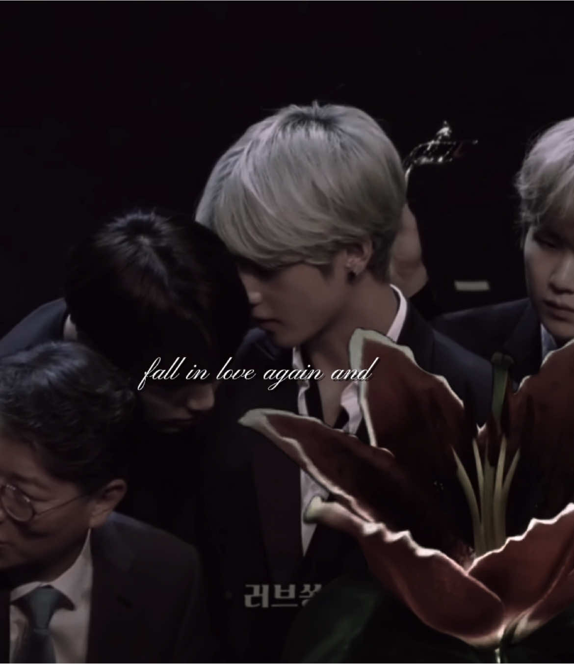 Fall in love again ❤️‍🩹 #vkook #trevvisemmi #aesthetic #Love @TikTok 