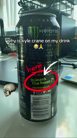 They should have done a Collab with monster to be honest🧌.  #dyinglight #dyinglightthebeast #kylecrane #aidencaldwell #monsterenergy 