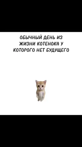 Мой тгк по мотикам: qlloi4 Эндуро – мотоциклы для бездорожья и гонок по пересечённой местности. Отличаются прочной рамой, длинноходной подвеской, тяговитым двигателем (250–650 см³) и агрессивным протектором. #альфа #kayo #progasi #мотоцикл #мото           