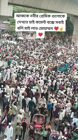 মাই লাভ মোহাম্মদ বলার কারনে যদি ❤️❤️❤️❤️❤️❤️❤️❤️❤️❤️❤️❤️#foryou #foryoupage #viral #viralvideo #unfrezzmyaccount @TikTok Bangladesh @TikTok @For You 