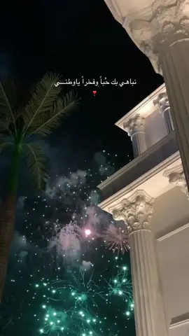 #95saudinationalday #saudiarabia🇸🇦 #السعودية🇸🇦 #SaudiNationalDay_95 