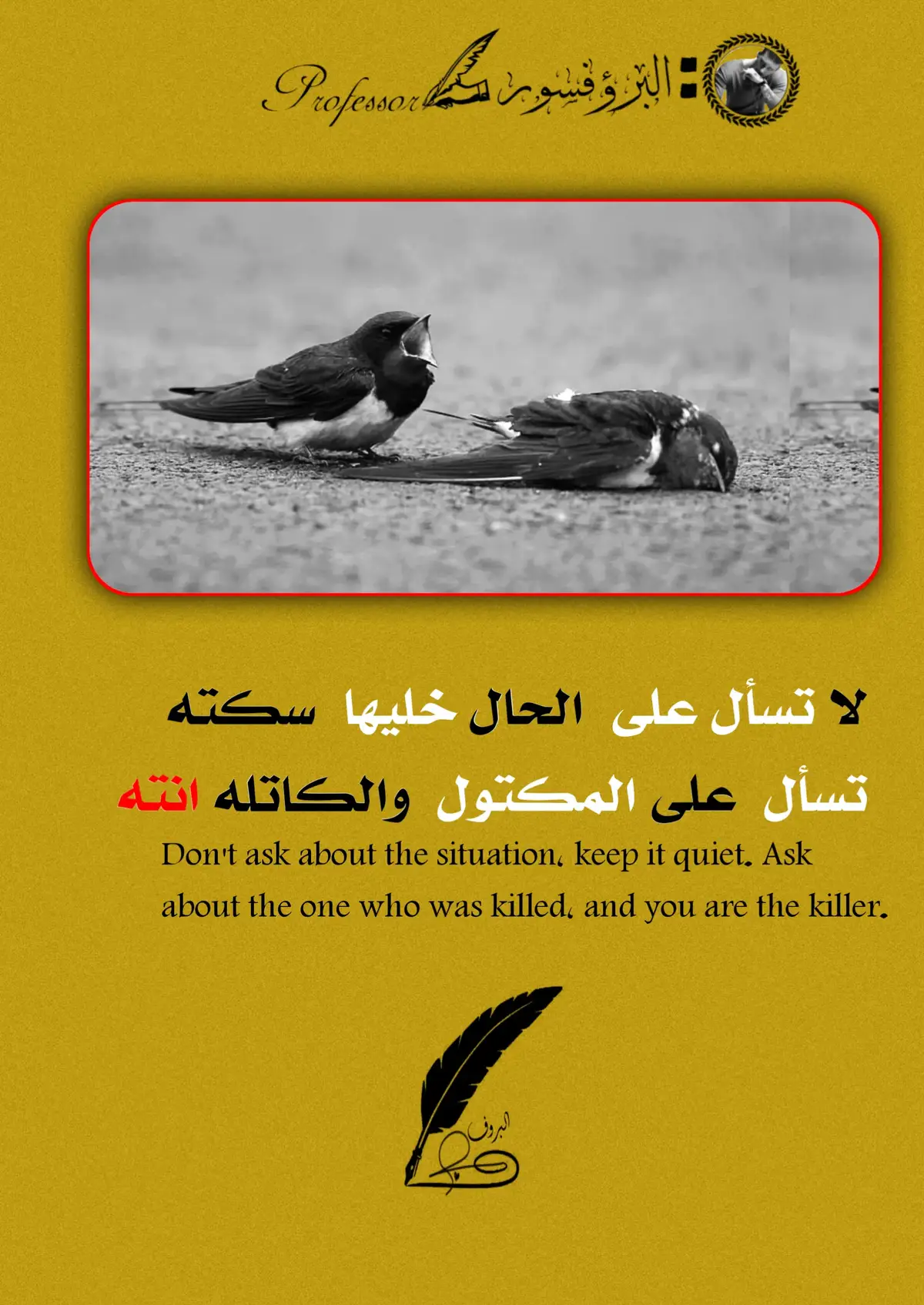 #عبارات  #مشاهدات #fyp #قتباسات ##سنوات_الضياع  @وسـᬼ⍣⃟🇮🇶ـام  آلبـ🇮🇶☆ـاشا @وتـ𝑴᭄ـين @Ülviyye Abbasova 