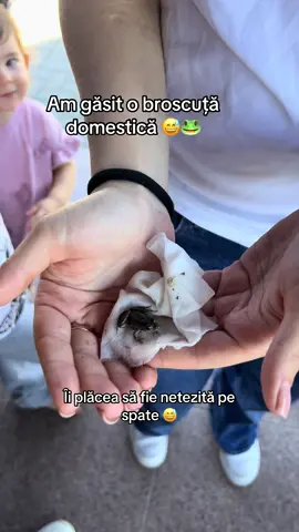 😅😅😅