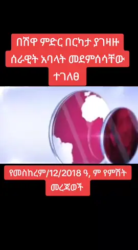 #አማራዬ💚💛❤አማራዬ💚💛❤ #ፍኖመከታችን💚💛♥️ #ወሎ💚ጎጃም💛ጎንደር❤ሸዋ_አንድ_ፋኖ #habshatiktok #amharatiktok 
