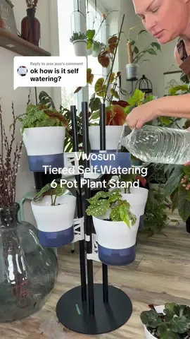 Replying to @jess jess  I should have shown that in the last video. This Vivosun Tiered 6 self-watering pot plant stand is perfect for those thirty plants. I love keeping my begonias in it.  #PlantStand #Selfwatering #TikTokShopBlackFriday #CreatorIcons #TikTokShopBlackFriday 
