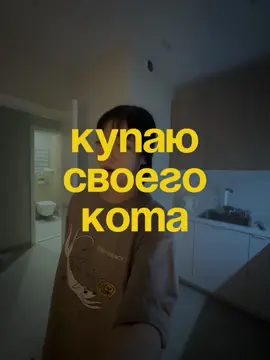 Больше нашей жизни в тг монипула😂