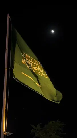 #saudiarabia🇸🇦 #nationalday #اليوم_الوطني_السعودي_95  #foryou #fyp 
