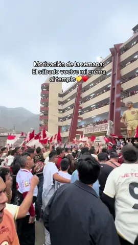 Por fin 💛♥️ EL SÁBADO NOS VEMOS EN EL TEMPLO 🥰 @Universitario #universitariodedeportes #ydaleu #trincheranorte #monumental #universitario1924 