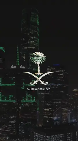 #اليوم_الوطني_السعودي_95 #KSA #MBS #اكسبلور #fyp 