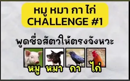 หมูหมากาไก่ วันทรูทรีโฟร #หมูหมากาไก่ #เกมสนุกๆ #ฟีดดดシ 