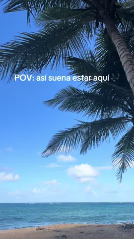 🇵🇷✨❤️