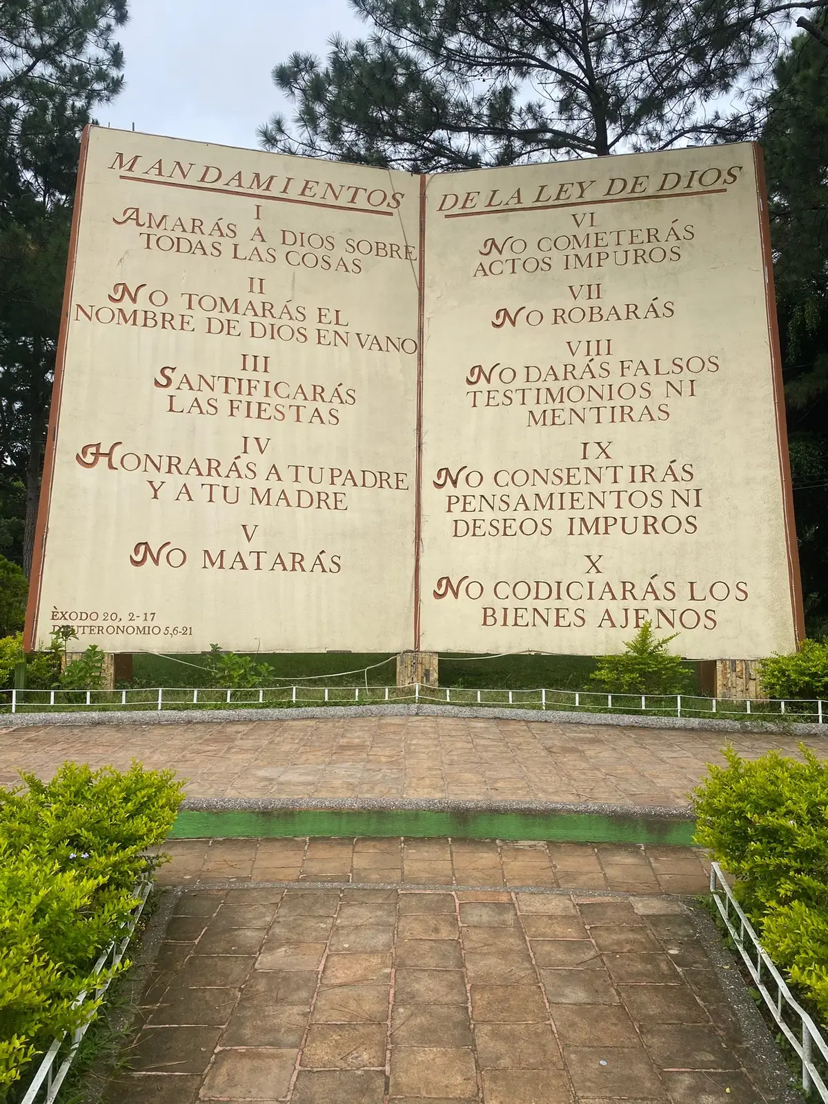 #LIVEIncentiveProgram #LIVEStory #PaidPartnership 