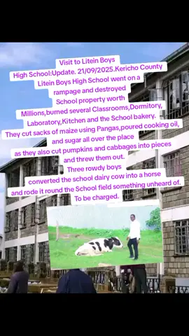 Visit to Litein Boys  High School: Update. 21/09/2025. Kericho County  Litein Boys High School went on a  rampage and destroyed  School property worth  Millions,burned several Classrooms,Dormitory, Laboratory,Kitchen and the School bakery. They cut sacks of maize using Pangas,poured cooking oil,  and sugar all over the place  as they also cut pumpkins and cabbages into pieces  and threw them out. Three rowdy boys  converted the school dairy cow into a horse  and rode it round the School field something unheard of. To be charged.#liteinboyshighschool  #strike  #highschool  #trendingnow  #fyp 