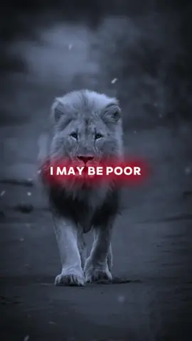 I may be poor today, i may be lost.... #motivation #dailymotivation #motivationalvideos #usa_tiktok #lifelesson 