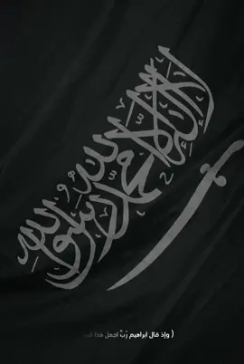 الصوره مصورتها من الذكريات لاتعليق بس اهم شي علم السعوووووديه🫡💚#اللهم امين يارب العالمين 