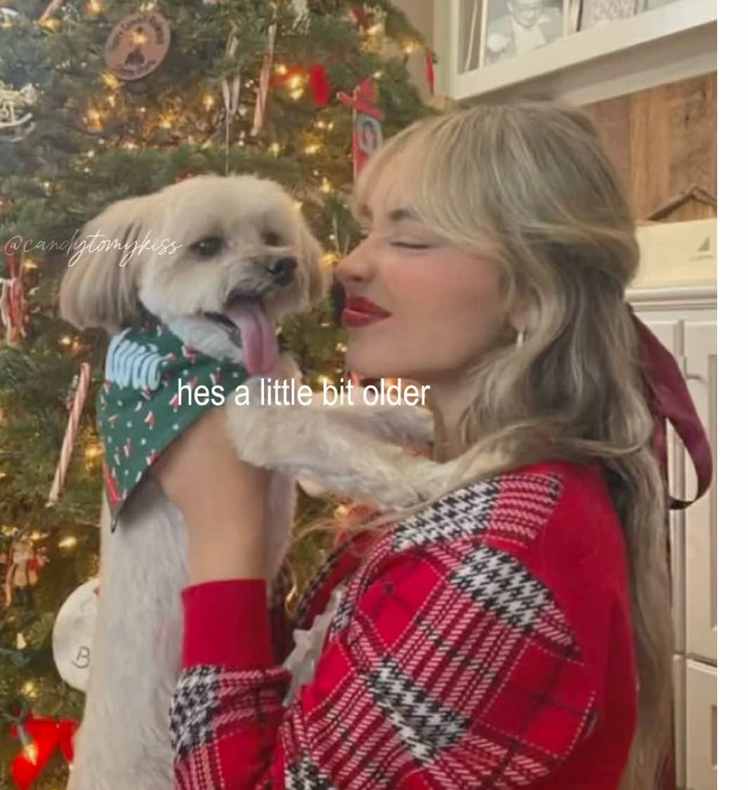 buy me presents!🎄🍪🎅🏼🥛☃️ | #fruitcake #editaudios #sabrinacarpenteredit #fyp #sabrinacarpenter 