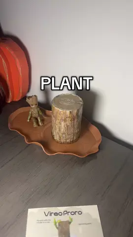 I have never seen anything like this before! 